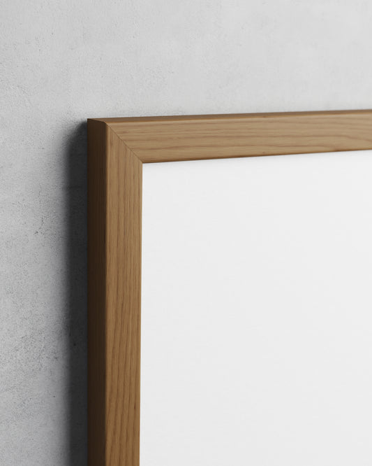 Frame preview