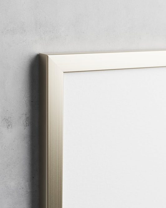 Frame preview