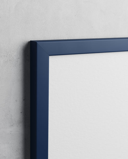 Frame preview