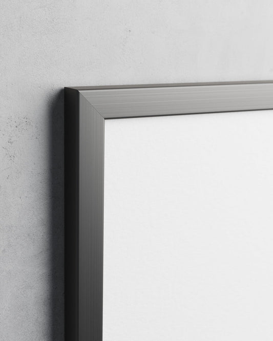 Frame preview