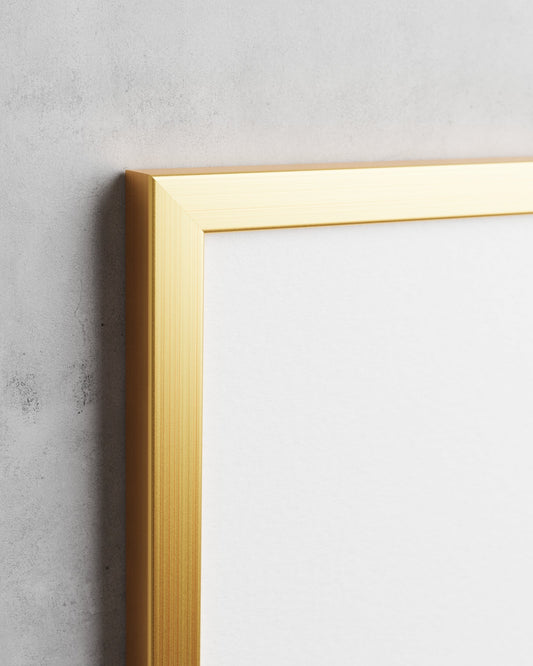 Frame preview