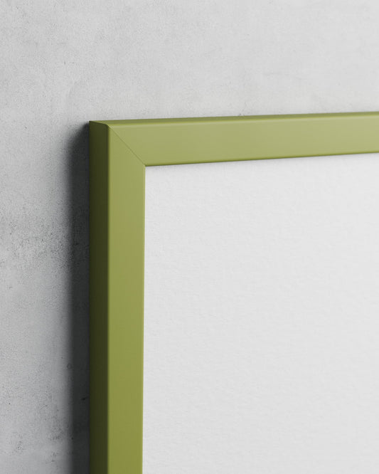 Frame preview