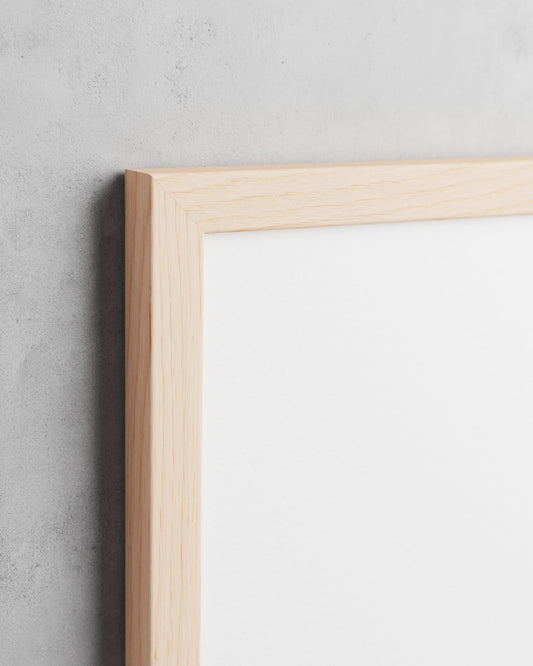Frame preview