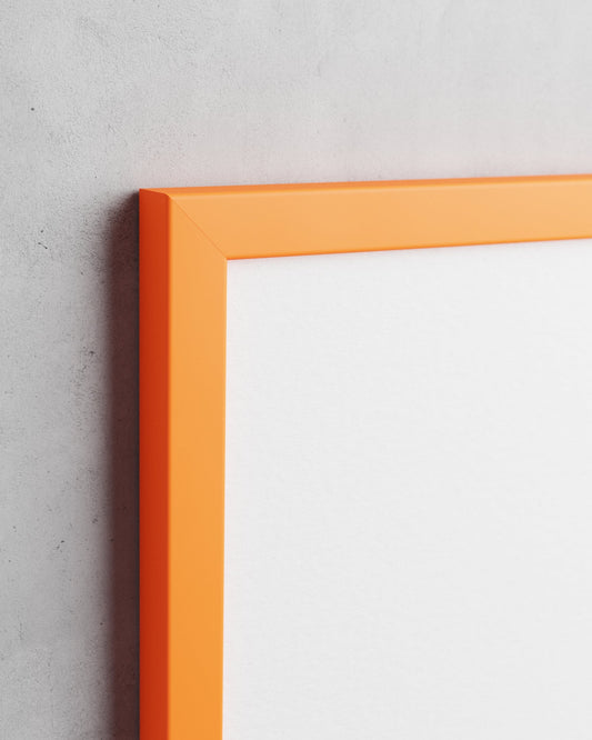 Frame preview