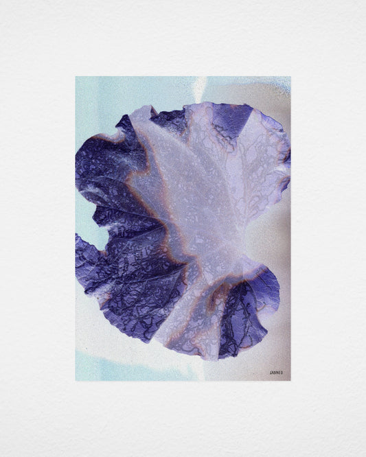 Leaf 01