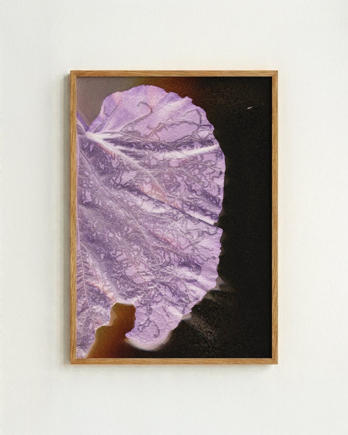 Leaf 02