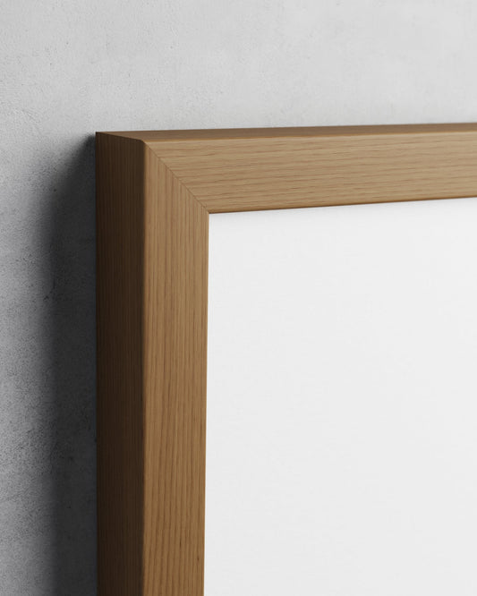 Frame preview
