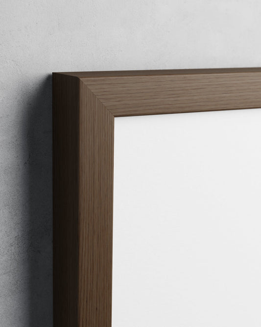 Frame preview